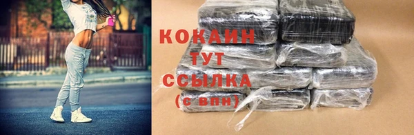 дживик Костерёво