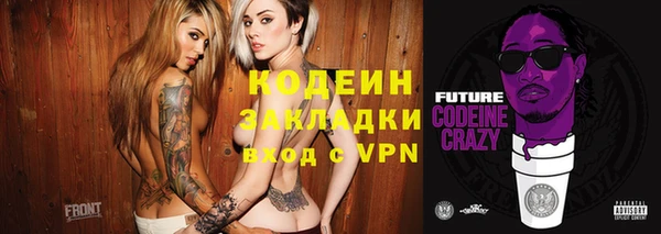индика Коряжма
