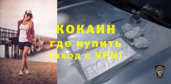 дживик Костерёво