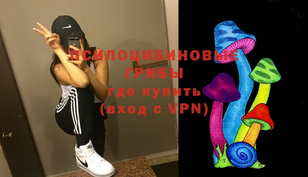 дживик Костерёво