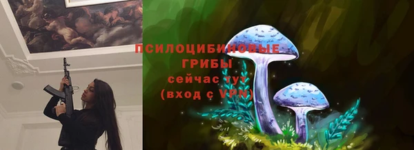 индика Коряжма