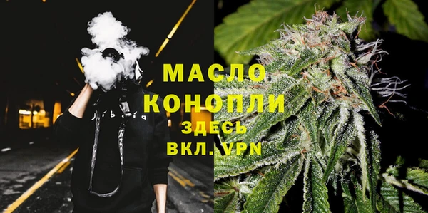 индика Коряжма