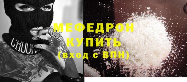 индика Коряжма
