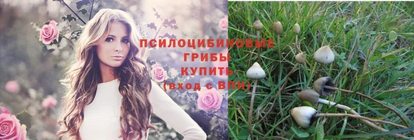 индика Коряжма