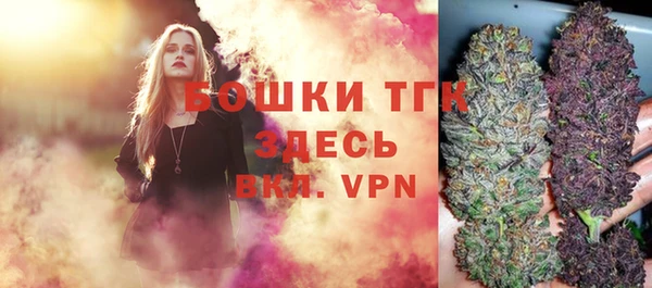 дживик Костерёво