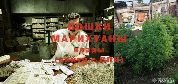 индика Коряжма