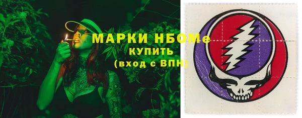 индика Коряжма