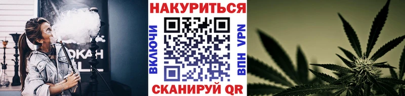 Канабис планчик  Купить где  Салаир 